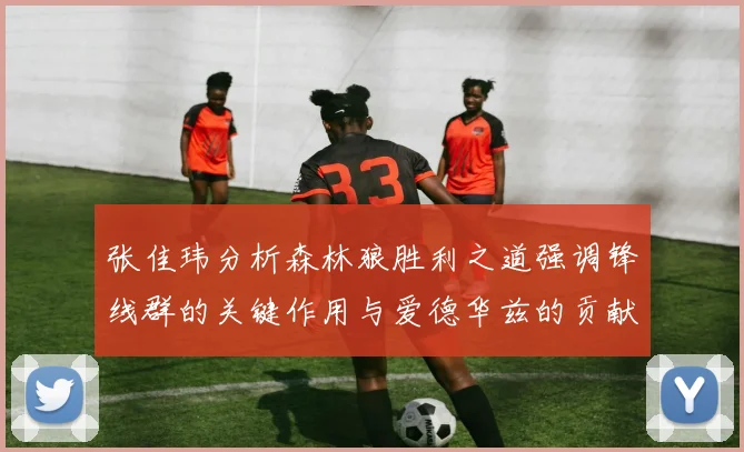 张佳玮分析森林狼胜利之道强调锋线群的关键作用与爱德华兹的贡献